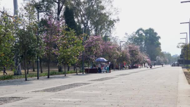 Cidade México México Dezembro 2021 Avenida Dos Compositores Uma Rua — Vídeo de Stock