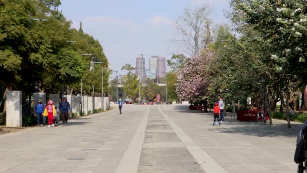 Cidade México México Dezembro 2021 Famílias Caminhando Exercitando Chapultepec Crianças — Vídeo de Stock