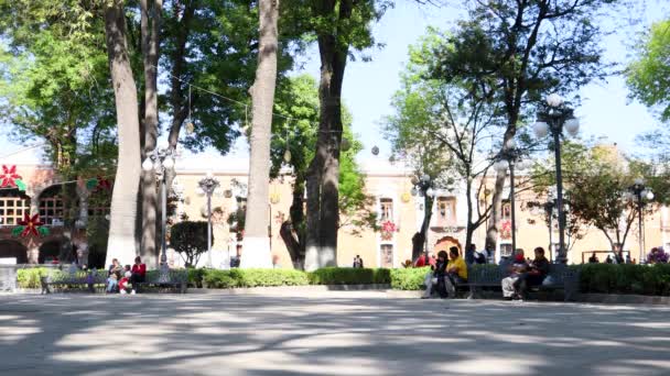 Tlaxcala México Janeiro 2022 Famílias Desfrutando Parque Tlaxcala Durante Primeiro — Vídeo de Stock