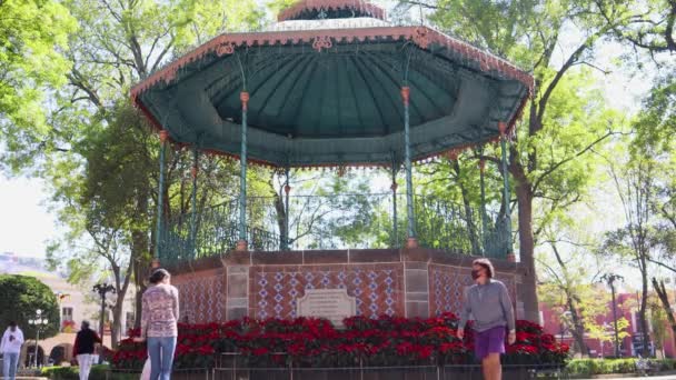 멕시코의 2022 2022 사람들 가족들 공원을 거닐다가 점포로 장식된 키오스크로 — 비디오