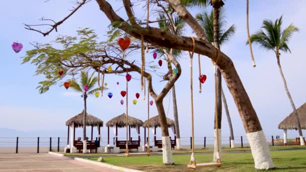 Puerto Vallarta México Feb 2022 Columpio Árbol Decorado Con Corazones — Vídeos de Stock