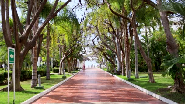 Puerto Vallarta Mexico Feb 2022 Beautiful Path Full Trees Hotel — Stock Video