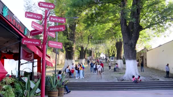 Tlaxcala Mexiko Januari 2022 Ingången Till Tlaxcalas Domkyrka Människor Klättrar — Stockvideo