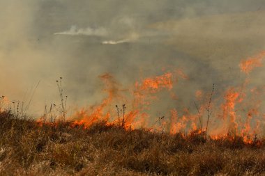 Yangın kurutulmuş çim alanı