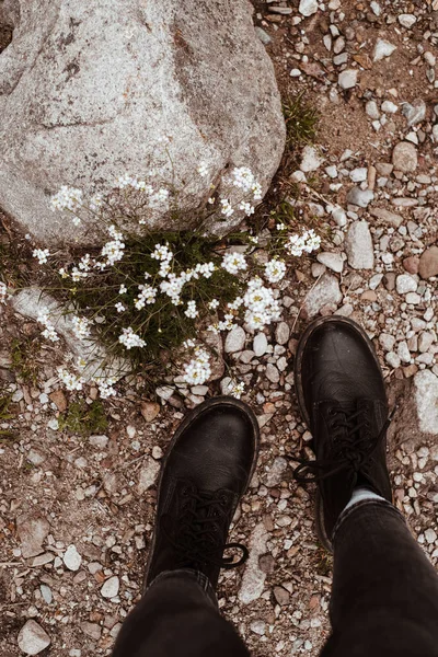 Female feet in black leather boots standing off-road near white wildflowers and big rock. Atmospheric images of nature captured in a village by mountains range in Zakopane, Poland.