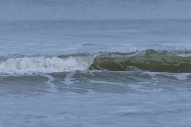 Juist 'in kumlu sahillerinde dalgalar.