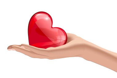 Heart in the human hands clipart