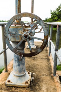 eski paslı sette Vana