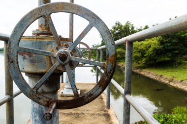 eski paslı sette Vana