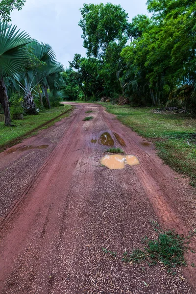 Chemin de terre à travers la ferme en Thaïlande — Photo