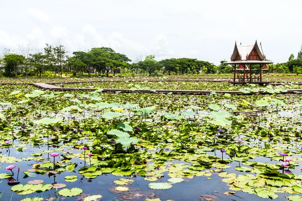 Pavilhão Tailândia ao lado de uma lagoa de lótus — Fotografia de Stock