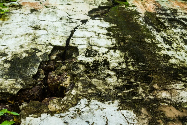Cracked old wall with moss — Stock Photo, Image