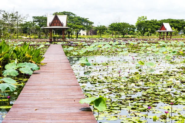 Thailändischer Pavillon neben einem Lotusteich — Stockfoto