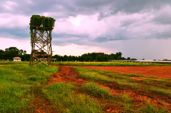 Fazenda na estação chuvosa . — Fotografia de Stock