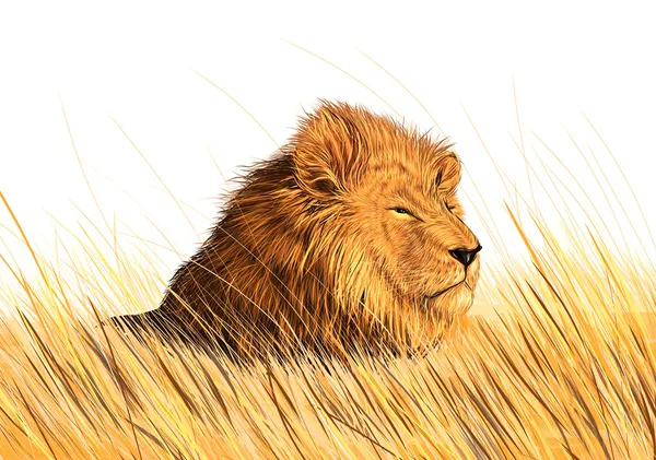 Aslan