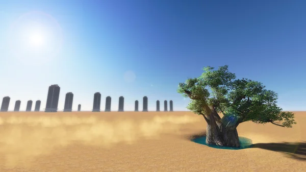 Bomen in de woestijn. — Stockfoto