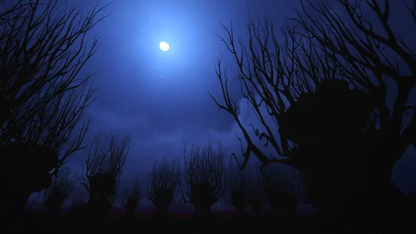 Ciel nocturne sur Halloween . — Photo