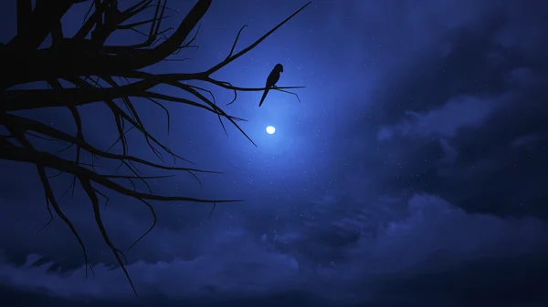 ハロウィーンの夜の空. — ストック写真