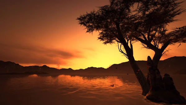 Nehirde gün batımı.