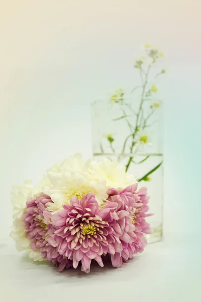 Bouquet à Pastel — Photo