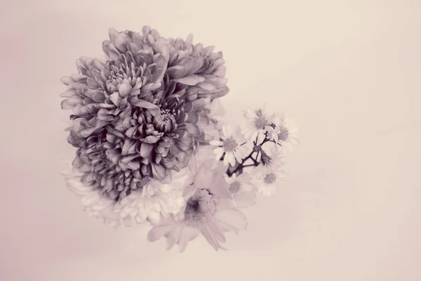 Bouquet en couleur monotone — Photo