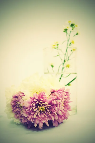 Bouquet of pink flowers — Stock Photo, Image