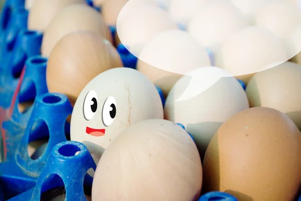 Huevos en bandeja —  Fotos de Stock