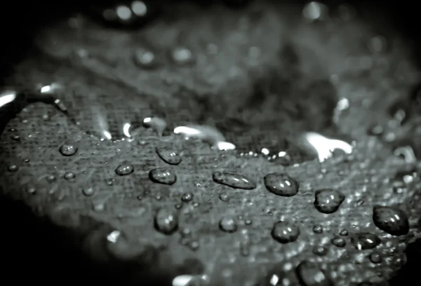 Gotas de água no chão — Fotografia de Stock