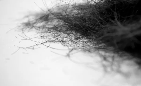 I capelli neri sono tagliati — Foto Stock