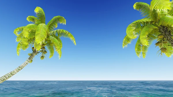 Coconuts on the beach. — Stock Photo, Image