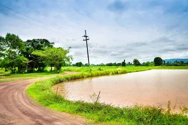Caminos en campos de arroz — Foto de Stock