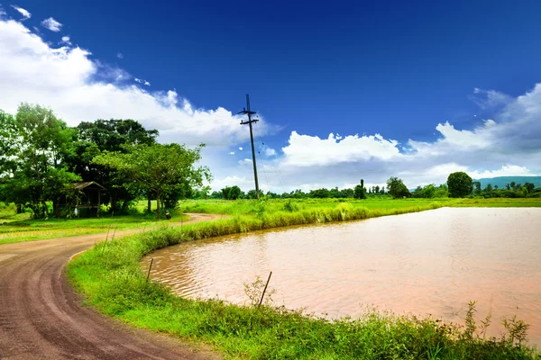 Caminos en campos de arroz —  Fotos de Stock