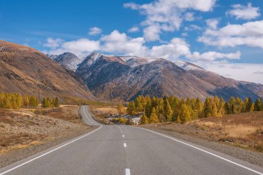 Dolambaçlı asfalt yolu ile şaşırtıcı sonbahar manzarası, ilk karlı dağlar, yol kenarındaki orman ve altın ağaçlar mavi gökyüzü ve bulutların arka planına karşı. Altai, Rusya