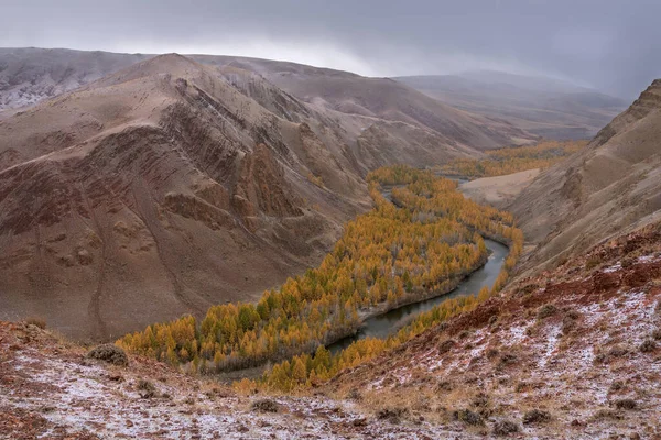 秋天的壮丽壮丽景色 五彩缤纷的群山映衬着红土 蜿蜒的小河和金黄的树木 映衬着乌云密布的天空 俄罗斯阿尔泰 — 图库照片