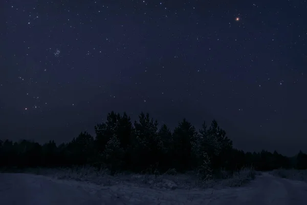 Hermoso Paisaje Nocturno Invierno Con Bosque Nevado Abetos Nieve Carretera —  Fotos de Stock