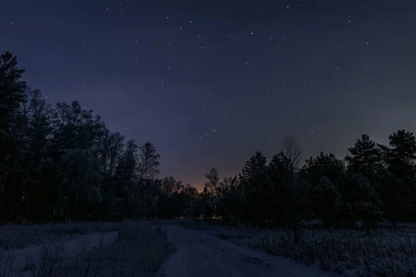 Hermoso Paisaje Nocturno Invierno Con Bosque Nevado Abetos Nieve Carretera —  Fotos de Stock