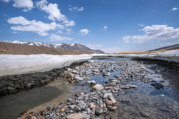 在雪山 蓝天和云彩的衬托下 陡峭的山河和巨大的冰河沿着河岸漂流 俄罗斯阿尔泰 — 图库照片