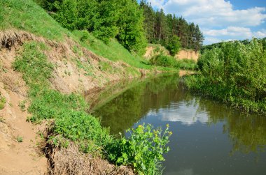 Dik büküm nehrin kıyısında