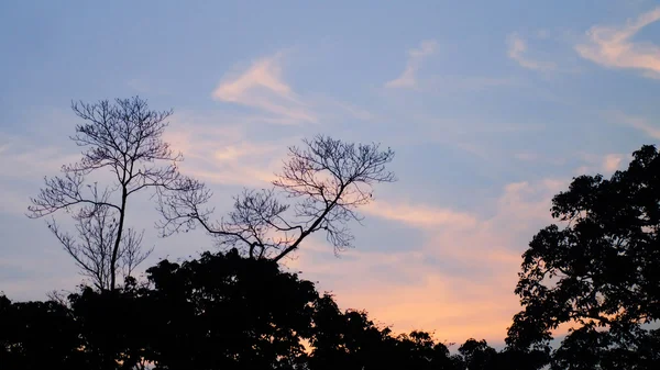 Bela natureza . — Fotografia de Stock