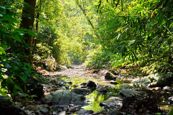 Landscape — Stock Photo, Image