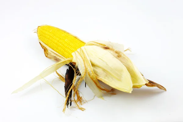 Maïs rôti  . — Photo