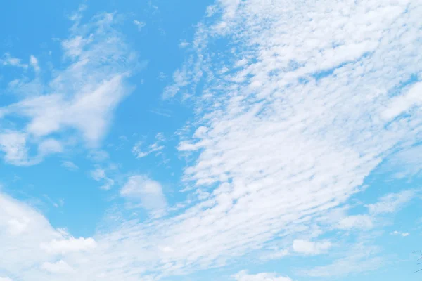 Cielo blu nuvola  . — Foto Stock