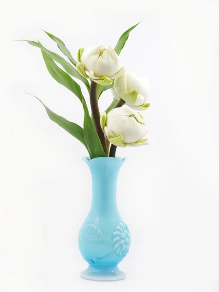 Water lily lotus in blue vase . — Stock Photo, Image