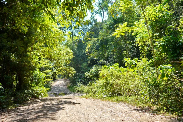 Paisagem . — Fotografia de Stock