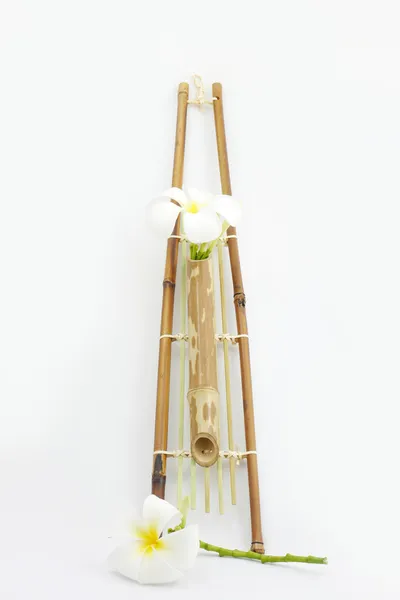 Cesta de bambu pendurado  . — Fotografia de Stock