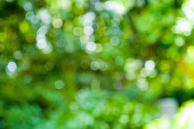 Sürpriz renkli bokeh .