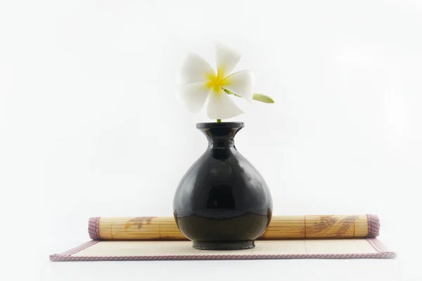 Witte bloem op vaas — Stockfoto