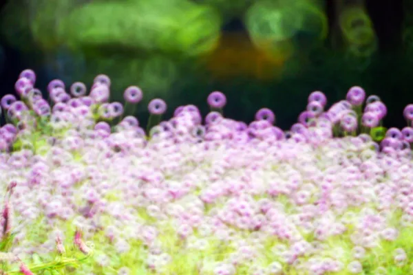 Verrassing kleurrijke bokeh . — Stockfoto