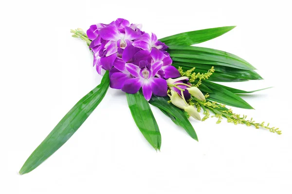 Fiore di orchidea viola . — Foto Stock