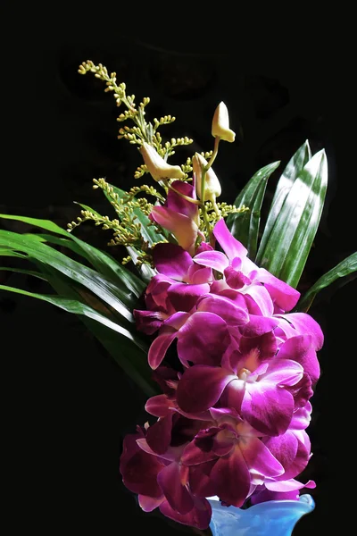 Orchidée pourpre fleur . — Photo